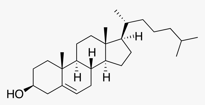 2 Methoxyestradiol, HD Png Download