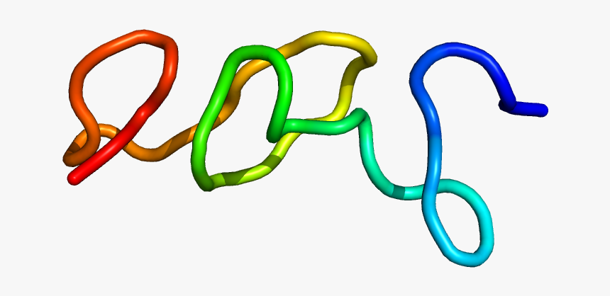 Protein Jag1 Pdb 2kb9 - Gen Jag1, HD Png Download