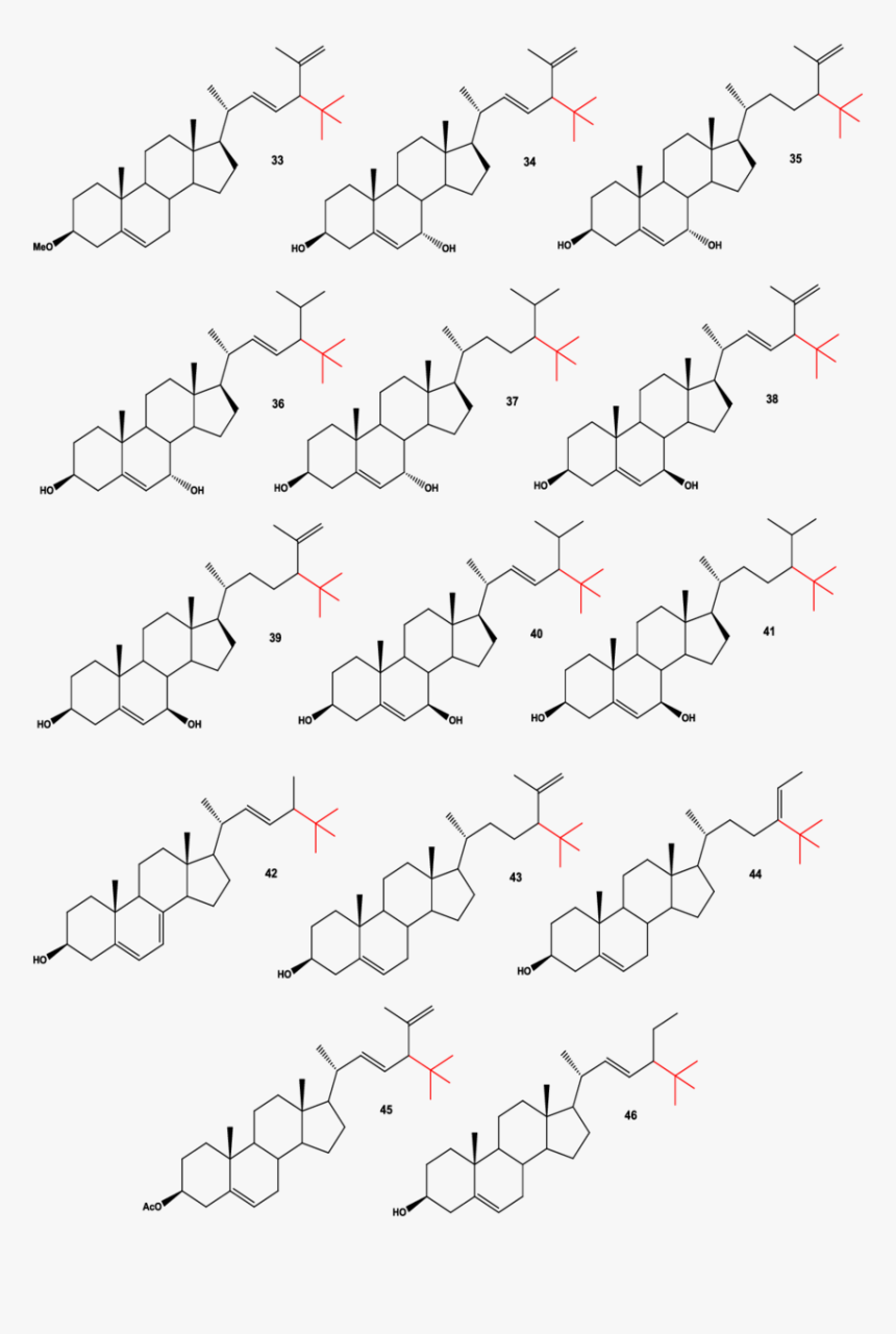 Neo Steroids Isolated From Marine Sponges, Anemones - Biosynthese Calcitriol, HD Png Download