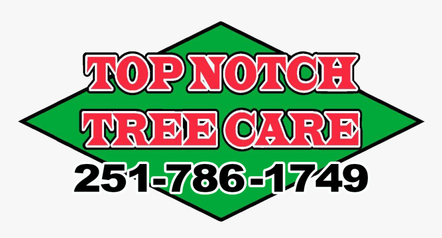 Firewood Clipart Transparent Wood, HD Png Download