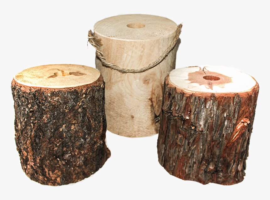 Clip Art Firewood M Vt Kiln - Bundle Of Tree Wood, HD Png Download