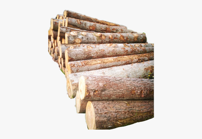 #wood #firewood #remix - Baumstamm Rinde Png, Transparent Png