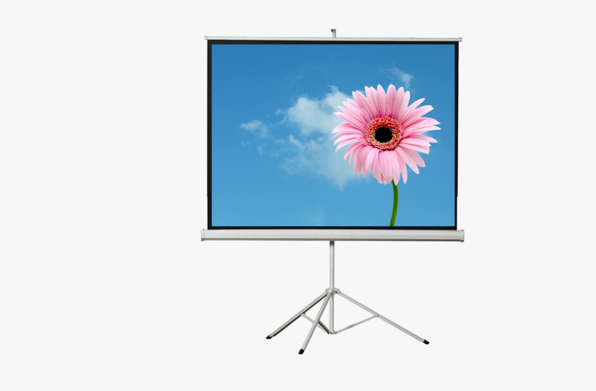 1024 * 1024 Image Flower, HD Png Download