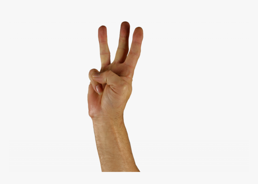 3 Elements Of Success, HD Png Download