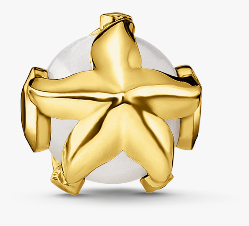 K0294 445 14 Bead Estrella De Mar 2 
 Data Large Image - Thomas Sabo, HD Png Download