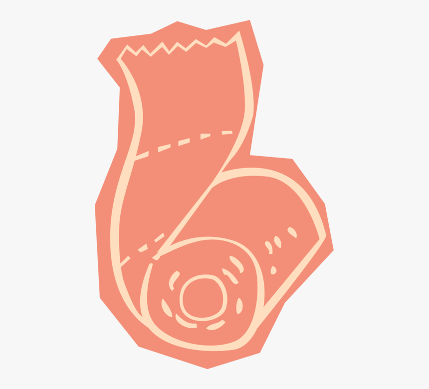 Vector Illustration Of Toilet Tissue Or Toilet Paper, HD Png Download