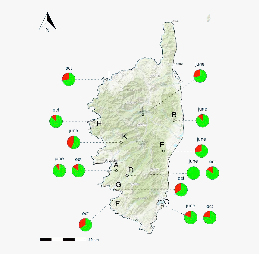 Map, HD Png Download