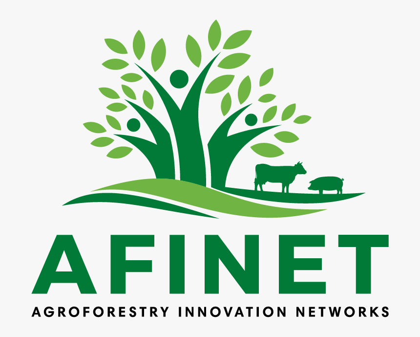 Afinet Logo - Afinet Project, HD Png Download