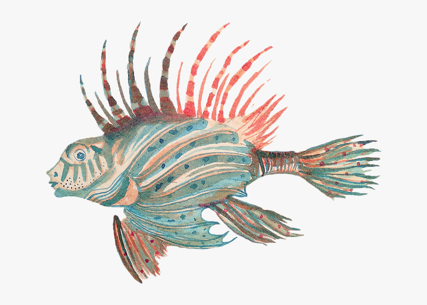 Lionfish , Png Download - Lionfish, Transparent Png