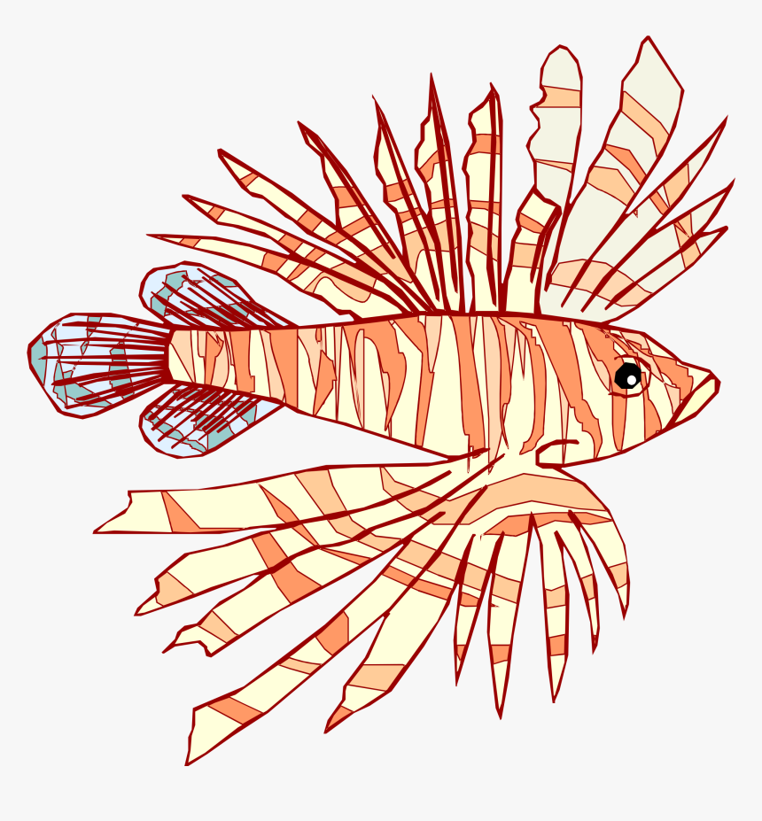 Lionfish , Png Download - Illustration, Transparent Png