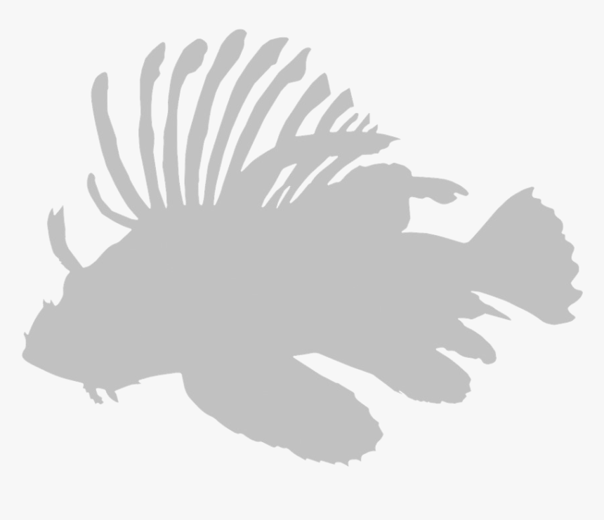 Lionfish Icon , Png Download - Lionfish Png White, Transparent Png