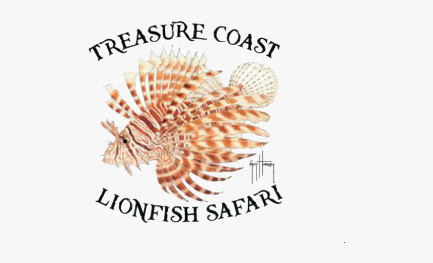 Tc Lionfish Safari - Lionfish, HD Png Download