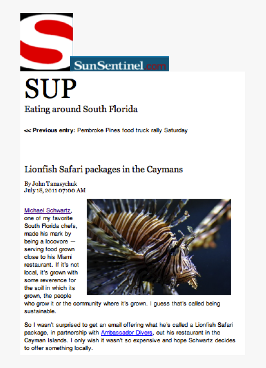 Sun Sentinel, HD Png Download