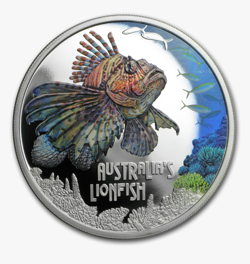 Bass, HD Png Download