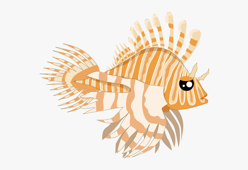 Lionfish - Illustration, HD Png Download