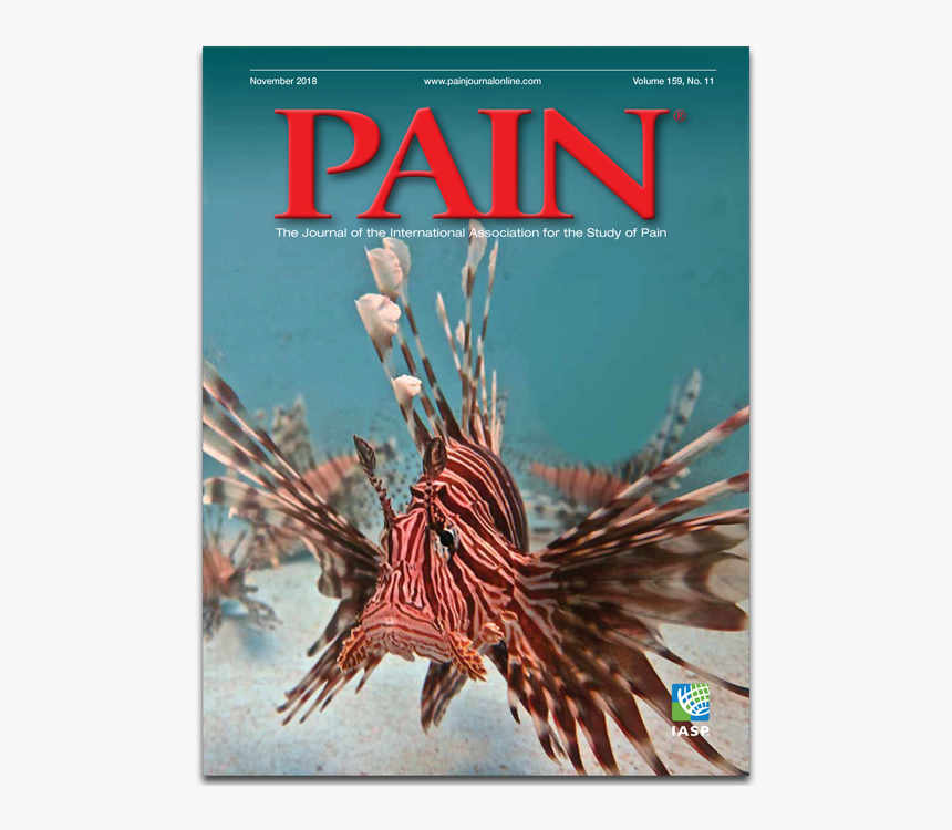 Lionfish, HD Png Download