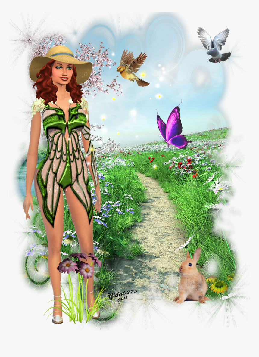 Animated Birds, HD Png Download