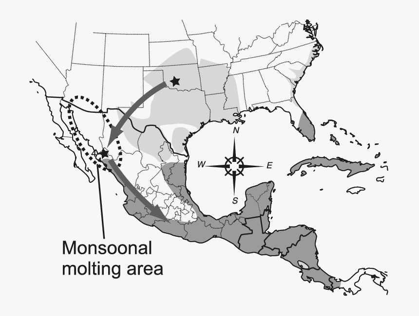 Map Of Southern United States And Mexico Showing Breeding - Distribution Of Montezuma Bald Cypress, HD Png Download