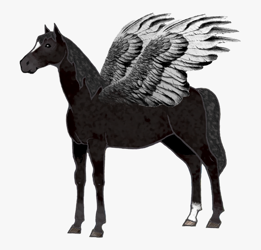 Stallion, HD Png Download