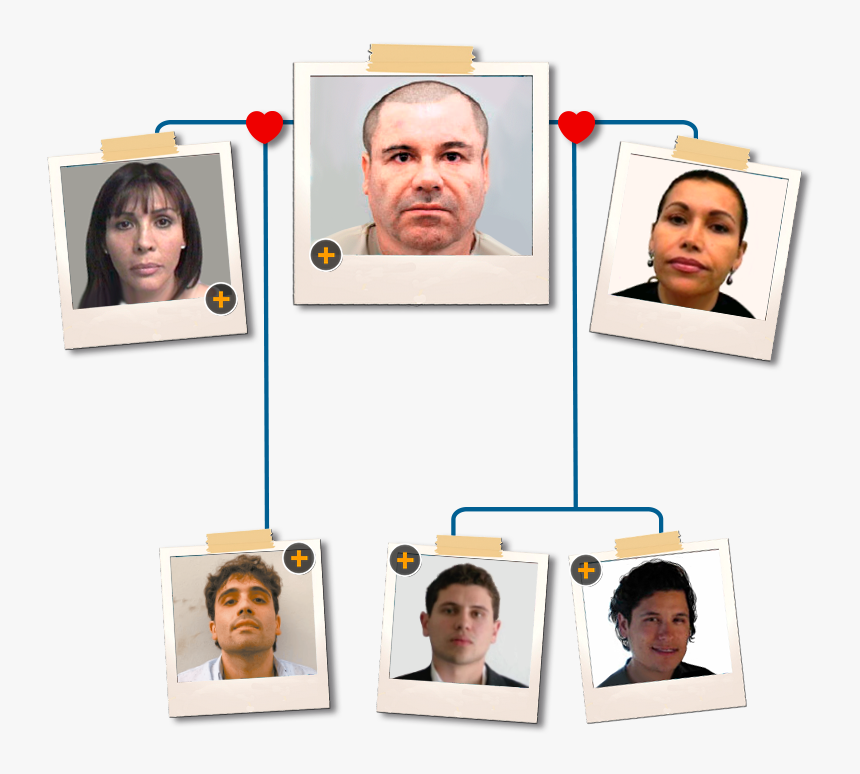 Collage, HD Png Download