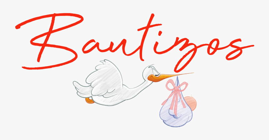 Bautizos Cigueña Regalos - Illustration, HD Png Download