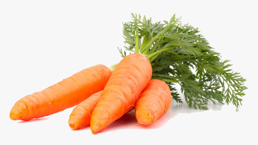 Imagenes De Zanahoria Png , Png Download - Imagenes De Zanahorias En Png, Transparent Png