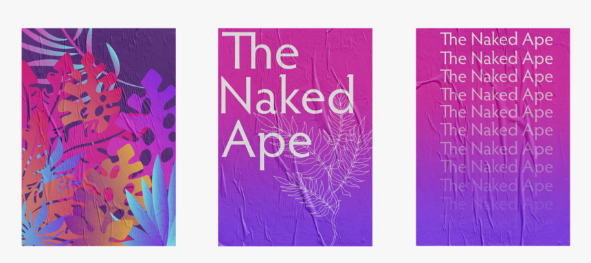 Transparent Libro Abierto Con Letras Png - Graphic Design, Png Download