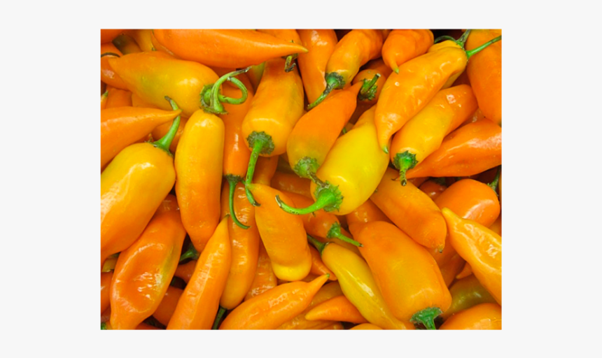 Aji Zanahoria - Aji Pepper, HD Png Download