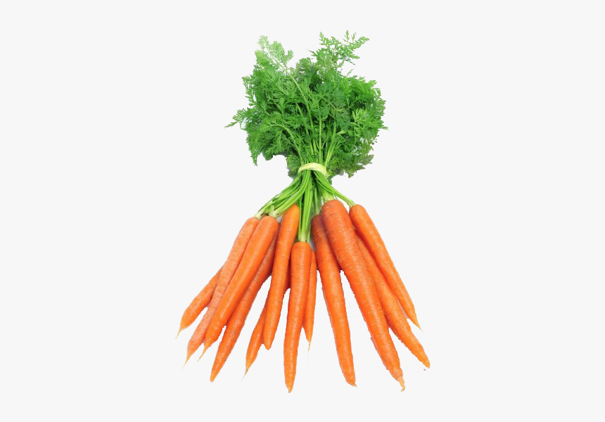 14 Carrots, HD Png Download
