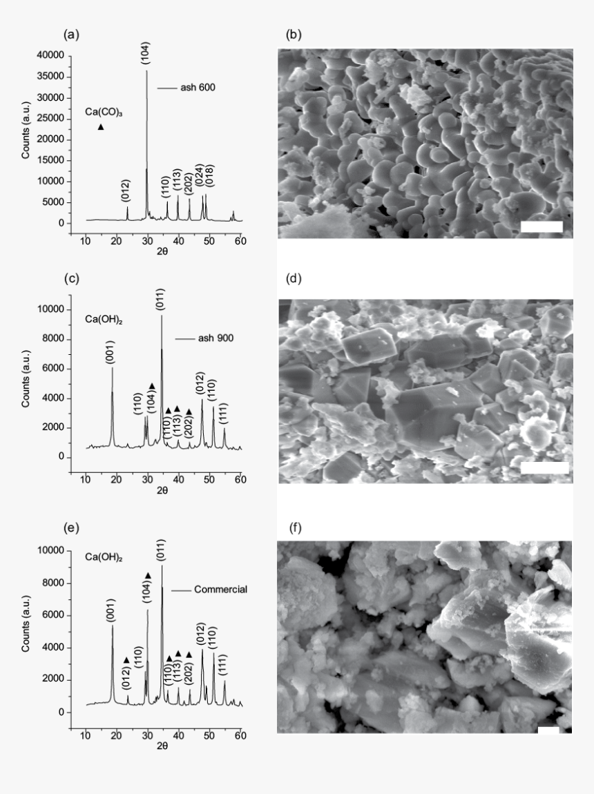 Diffractogram Patterns Of The Samples And Scanning - Monochrome, HD Png Download