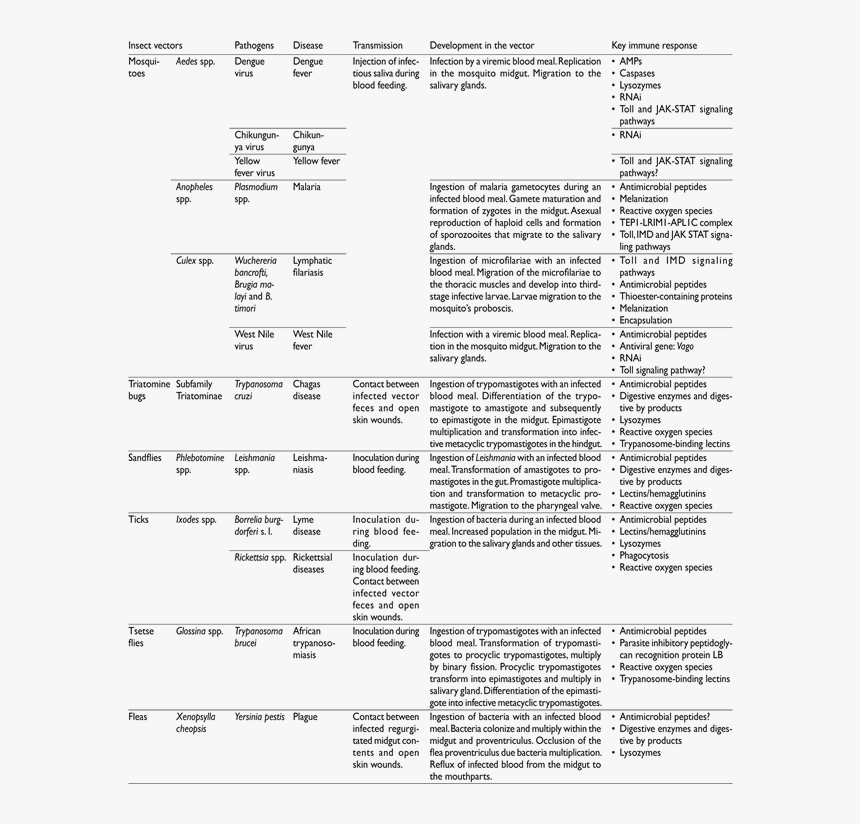 Document, HD Png Download