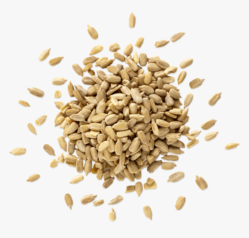 Malt, HD Png Download