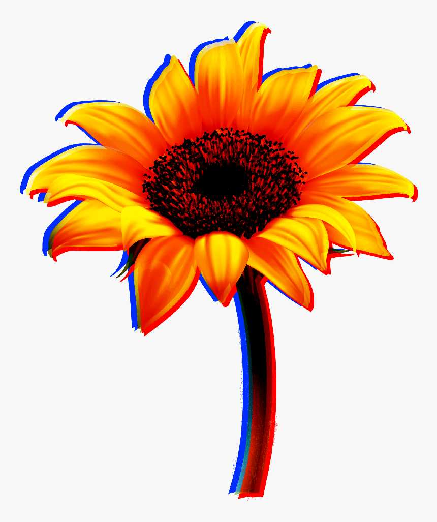 #flowers #flower #sunflower #sun #yellow #red #sticker - Sunflower, HD Png Download