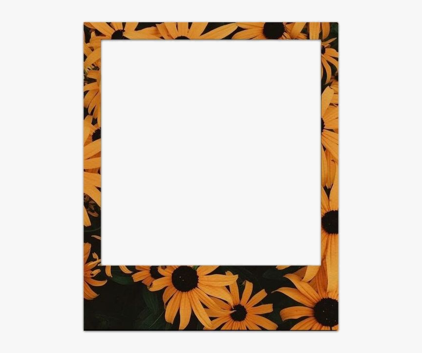 Sunflower Polaroid Frame, HD Png Download