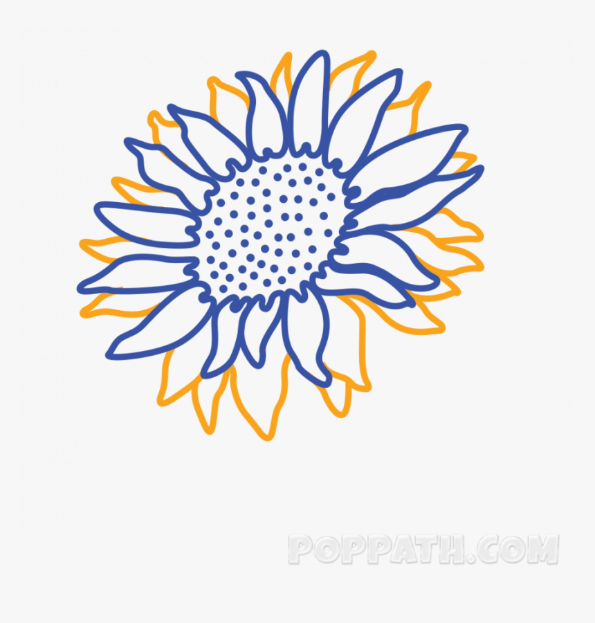 Drawing Pictures Of Sunflower, HD Png Download