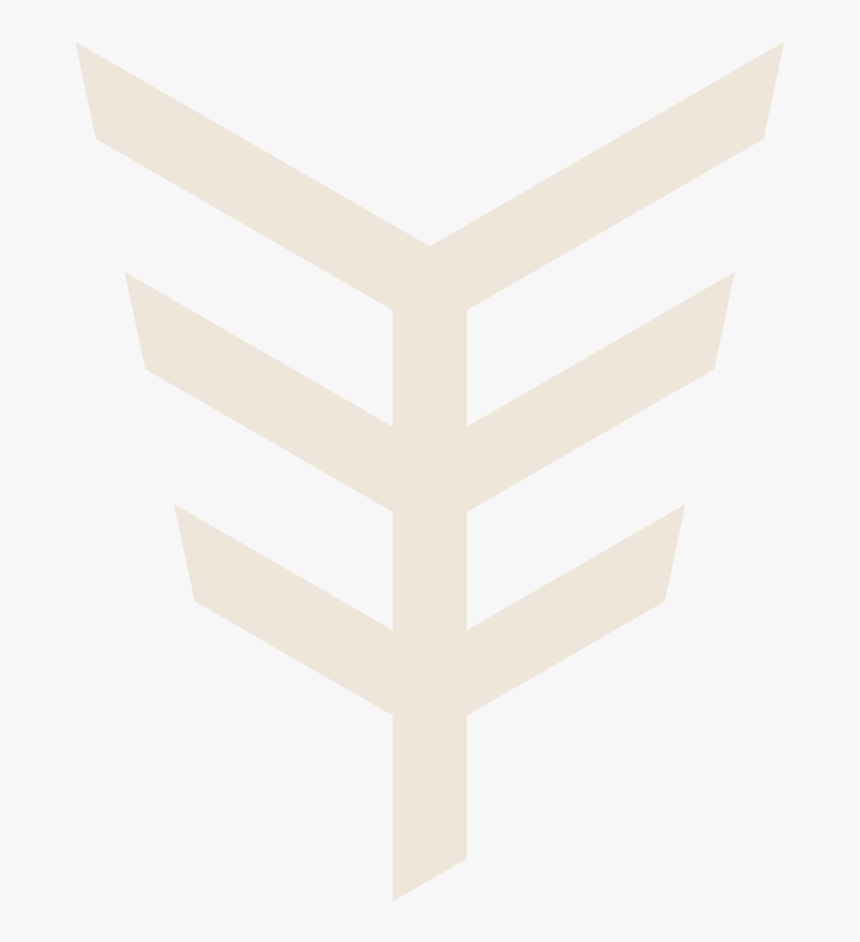 1st International Conference Of Wheat Landraces, HD Png Download