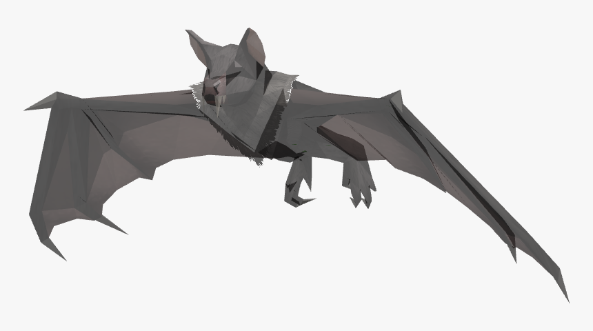 Dragon, HD Png Download