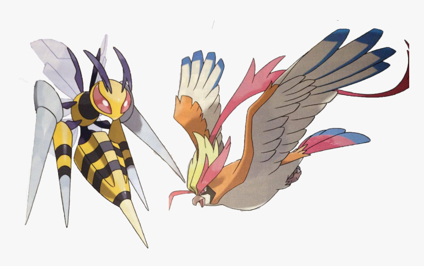 All Mega Flying Type Pokemon, HD Png Download
