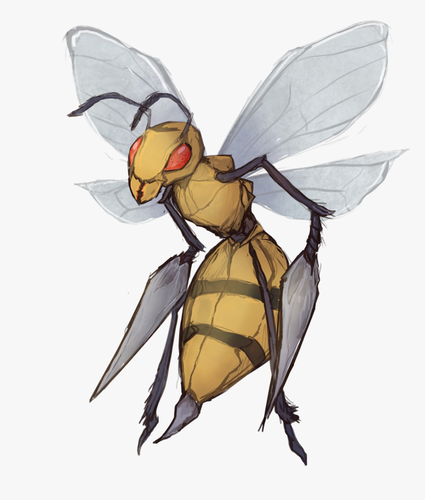 Net-winged Insects, HD Png Download