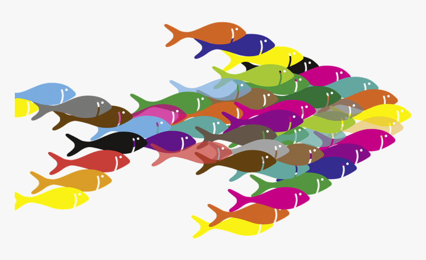 Blog Corruption In Fragile States Series Clipart , - Swarm Of Fish Clipart, HD Png Download
