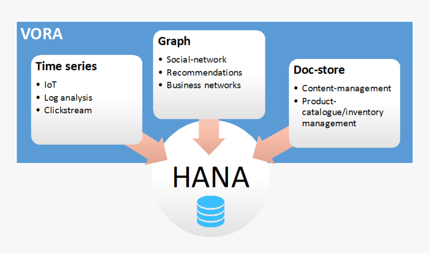 Sap Hana Vora - Sap Hana Walmart, HD Png Download