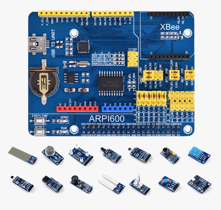 Raspberry Sensor, HD Png Download