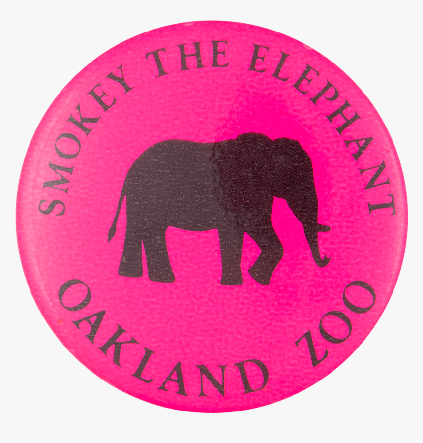 Transparent Smokey Png - Indian Elephant, Png Download