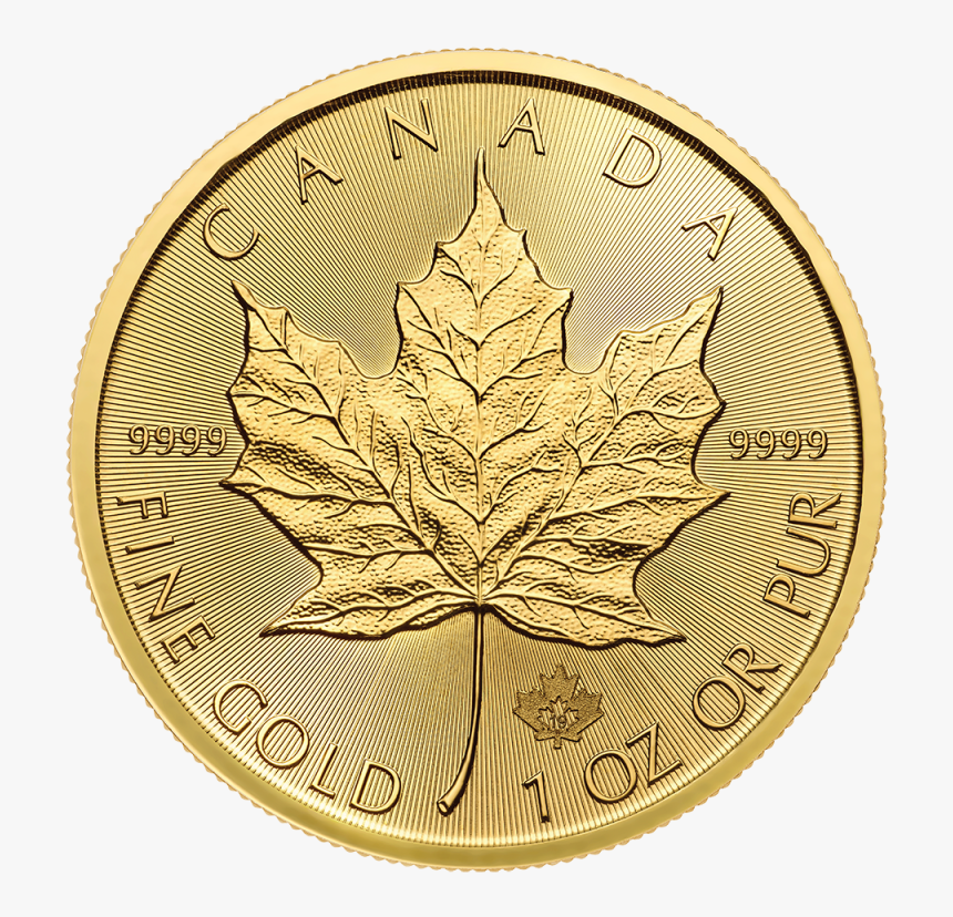 1 Oz Maple Leaf Gold Coin (front) - Maple Leaf 1 Oz Gold, HD Png Download