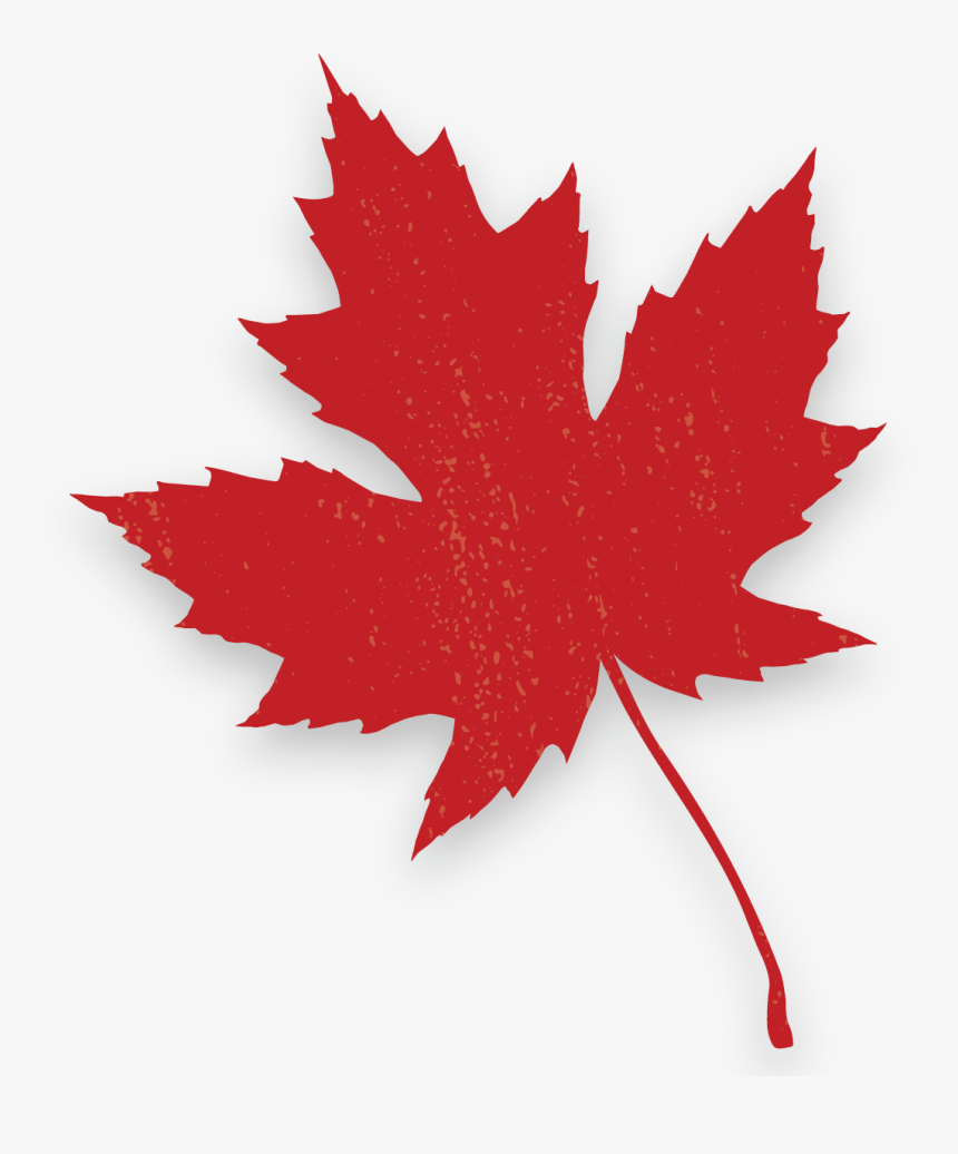 Maple Leaf, HD Png Download