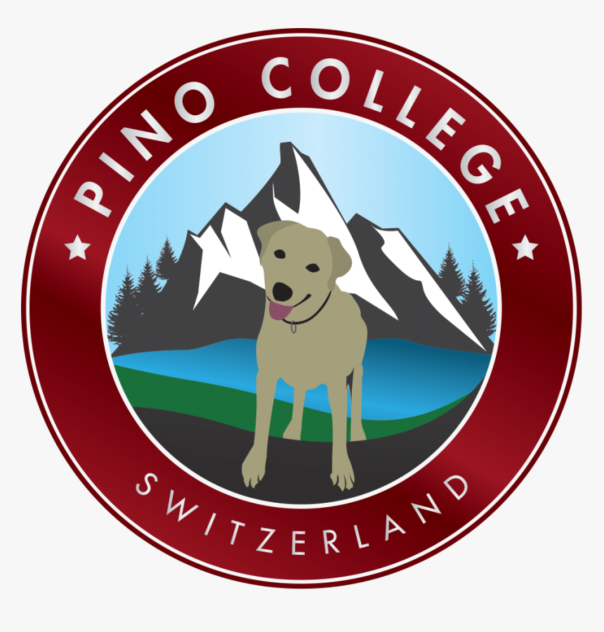 Logo - Dog Catches Something, HD Png Download