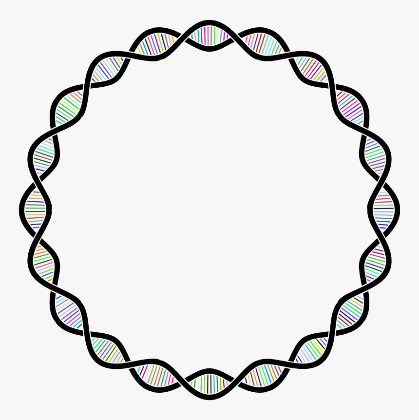 Dna Helix Frame Prismatic - Lily Name Stickers, HD Png Download