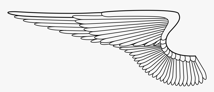 Clip Transparent Download Wing Mitchell Johnson Si - Angel Wings Vector Png, Png Download