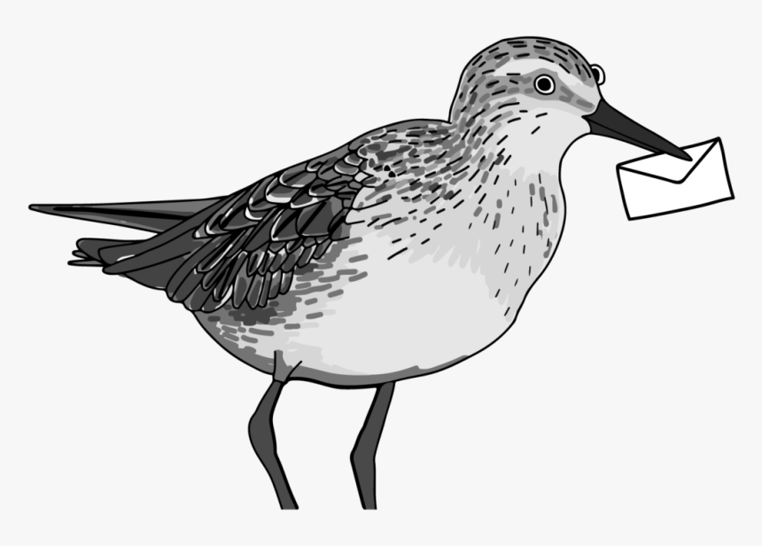 Subscribe - Sandpiper, HD Png Download
