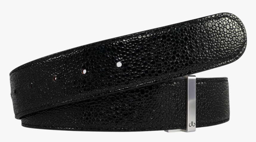 Shiny Black Stingray Textured Leather Belt - Stingray Belt, HD Png Download